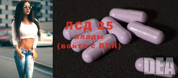дживик Богданович