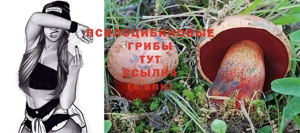 Альфа ПВП Богородицк