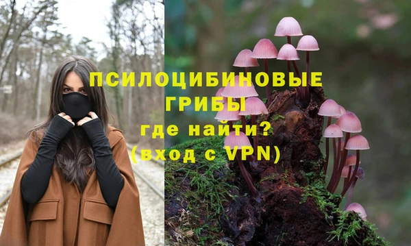 a pvp Богородск