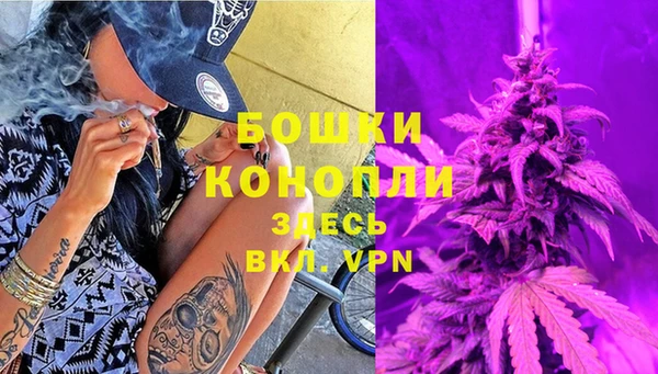 дживик Богданович