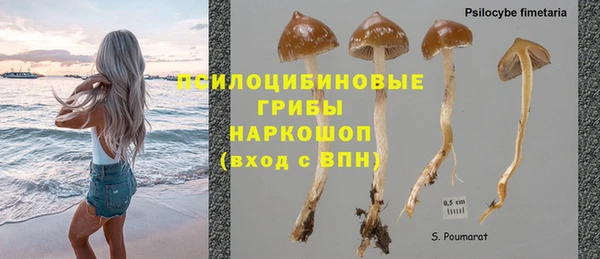 Альфа ПВП Богородицк