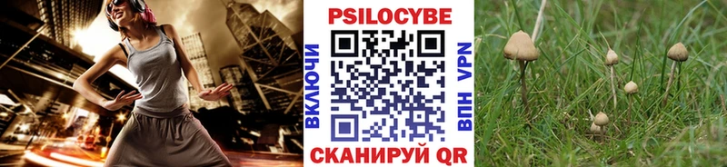 Псилоцибиновые грибы Cubensis  Михайлов 